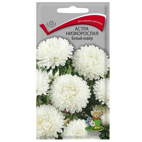 ������ ������ ������ ����� ����� ����������� ����� ���� 0.2 � ����