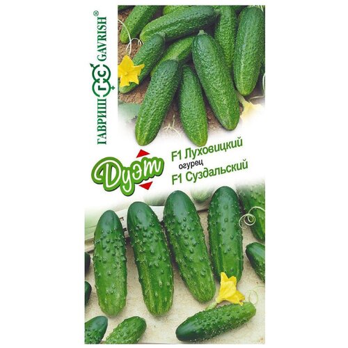 ������ ������ ������ ������ ���� ������ ���������� F1+������ ����������� F1 20 ��. ����