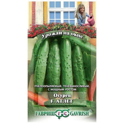 ������ ������ ������ ������ ������ �� ���� ������ ����� F1 10 �� ����