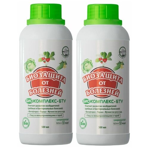 ������ ������ ��������� ��������� ��������� �� �������� �����������-��� 2�� �� 500 �� ����