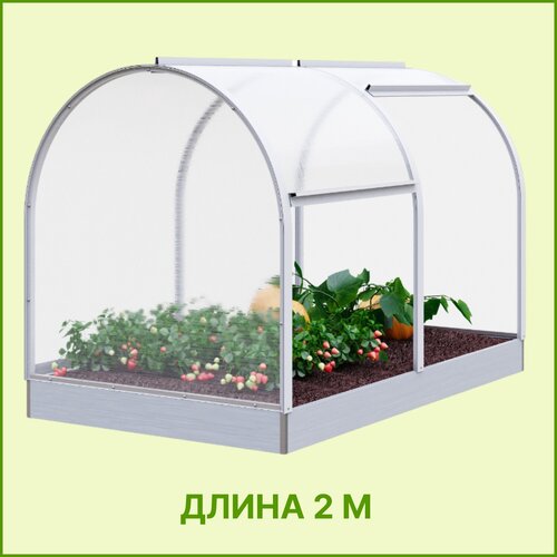 ������ ������ ������ �������-���� � ������������� ������ 2 ����� �� ������ ����