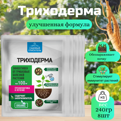 ������ ������ ���������� 30�� / 8��. ������� ���������. ����