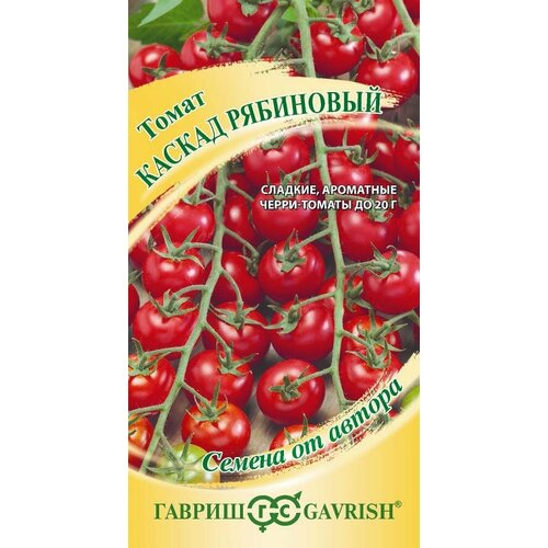 ������ ������ ������ ����� ������ ��������� 0,05� ����� (������) ����� ����