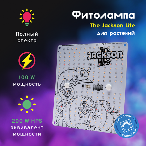  LED  The Jackson 100W Lite     -     , -,   