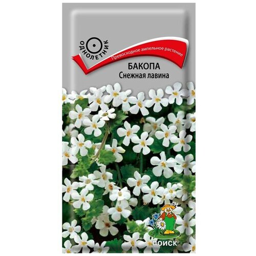 ������ ������ ������ ����� ������ ������� ������ 5 ��. ����