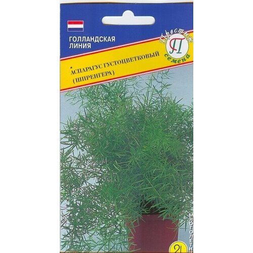 ������ ������ ������ ���������� ��������������� (���������) (5 �����). ����