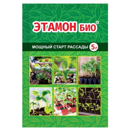 ������ ������ ��������� ���� ��������� ������ ���, 5 � ����