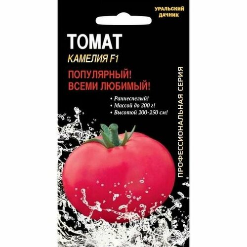 ������ ������ ������ ����� ������� F1, ������������, �����������, ���� 12�� ����