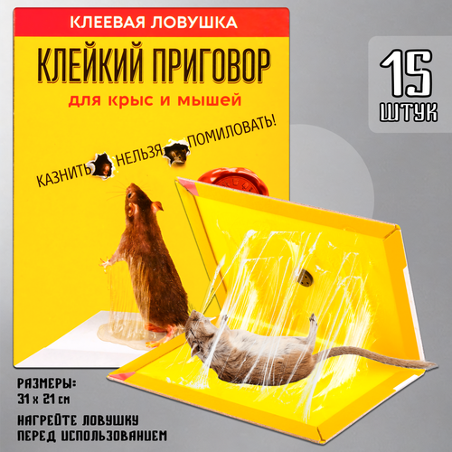 ������ ������ ��������� ��� �����, ������� ������� ��� ���������, ��� ��������, ������� ��������, ������� �������, ������, 15 ���� ����