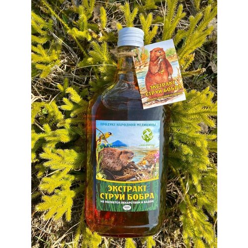 ������ ������ �������� ����� �����, �������� 500 ��. ����