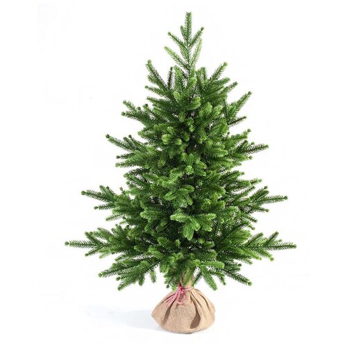 ������ ������ ��� ������������� ���� ���� ��������, 90 �� ����