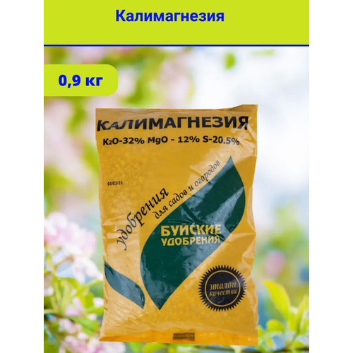 ������ ������ ��������� 