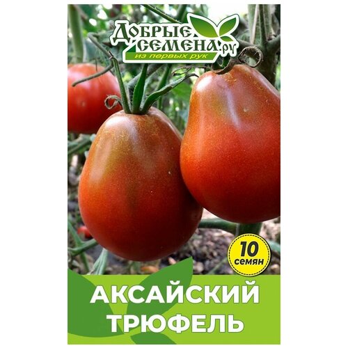 ������ ������ ������ ������ ��������� ������� - 10 �� - ������ ������. �� ����