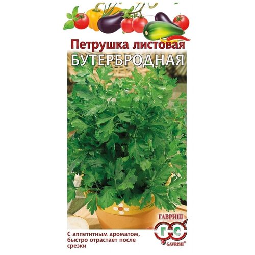 ������ ������ ������ ������ �������� �������� ������������ 2 �, 10 ��. ����