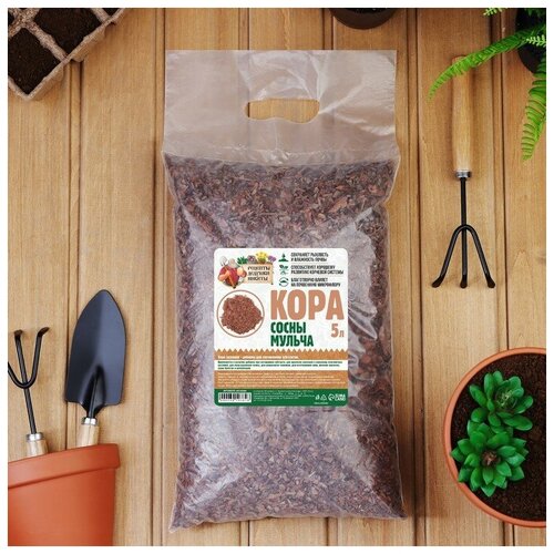 ������ ������ ������ ���� ����� 