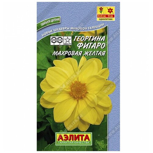 ������ ������ ������. ������� 