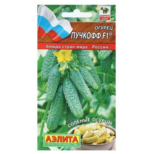 ������ ������ ������. ������ 