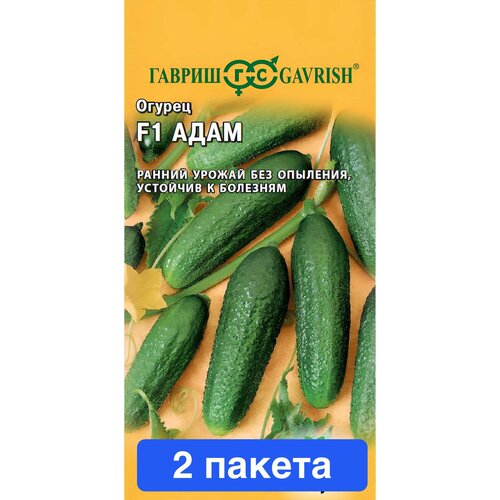 ������ ������ ������ ������ ������ 