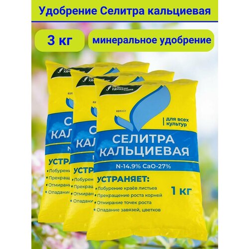 ������ ������ ��������� ������� ���������� 1 �� 3�� ����