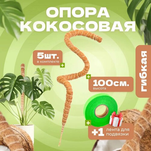 ������ ������ ��������� ����� ��� �������� ������, 100��, 5�� ����