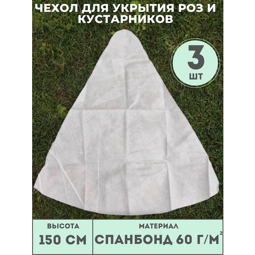 ������ ������ ������ ����� (������ 150��) ��� ��� � ����������� (3 ��./����.) �� ��������� 60 �/�2, ��� ������� ����