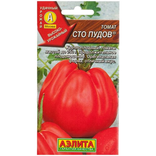 ������ ������ ������ ����� ���� ����� ����