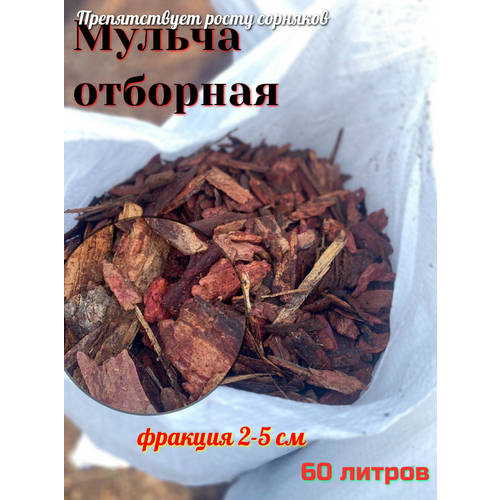 ������ ������ ������ �� �������� ���� ������� ������� ����������, 60 �, 9 �� ����