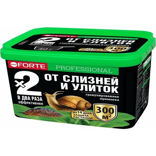 ������ ������ �������� �� ������� � ������ Bona Forte, 300 �� ����