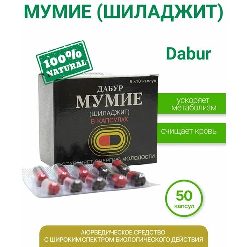 ������ ������ ����� �������� � ��������, 50 �� ����