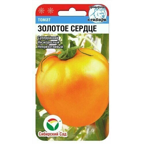 ������ ������ ������ ����� ������� ������ 20�� ��� ������ (��������� ���) ����