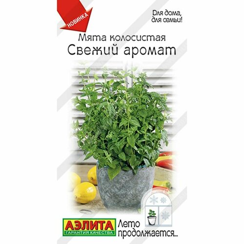 ������ ������ ������ ���� ������ ������ ���������� (������) 0,05� ���� ������������ ����