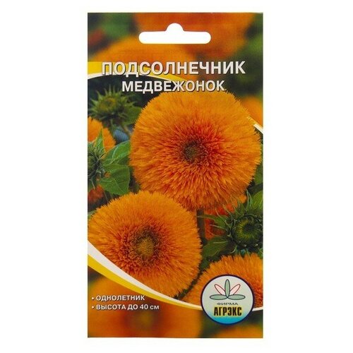 ������ ������ ������ ������ ������������ ����������, 10 �� ����