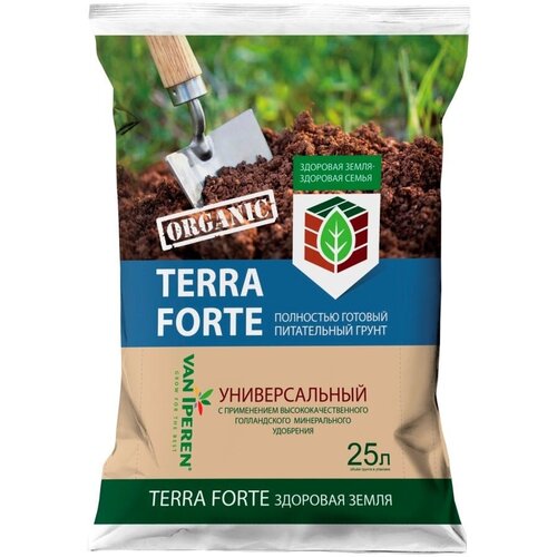     ,  Terra Forte,  , 25 