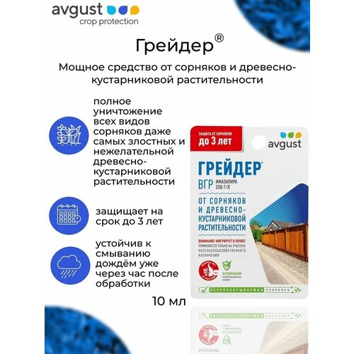 ������ ������ �� �������� ������� ������ 10 �� ����