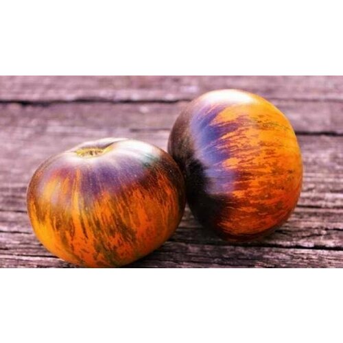 ������ ������ ������������� ������ ������ ����� ����� ����