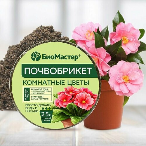 ������ ������ ��������� ����������� ��� ��������� �������� 2.5 � ����