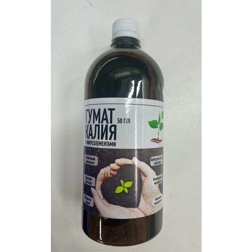 ������ ������ ����� ����� � ��������������� 50 �/�1 ���� ����