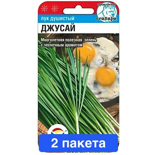 ������ ������ ������ ������ ��������� ��� 