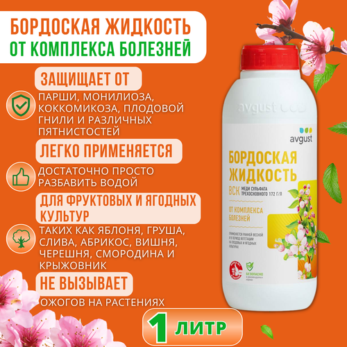 ������ ������ ��������� �������� ������, 1 ���� ��� ������ �������� �� �������� � ��������� ����