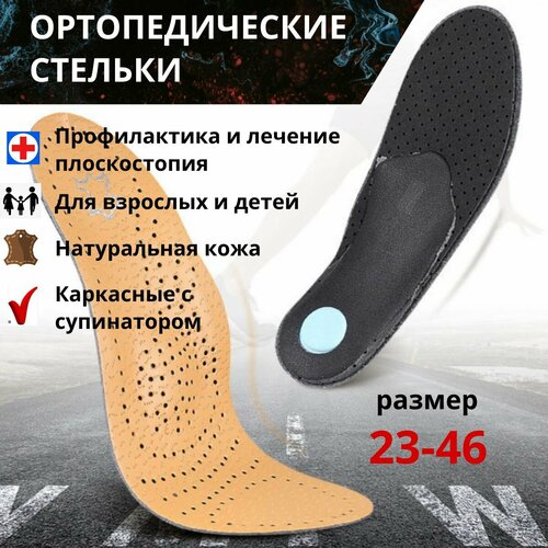 ������ ������ �������������� ������� ������� ������������� ��������� ��� ������������ ��� ����� �.23-26 ����