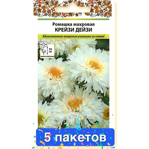 ������ ������ ����� ������� ������ ����� �������� 5 ������� ����