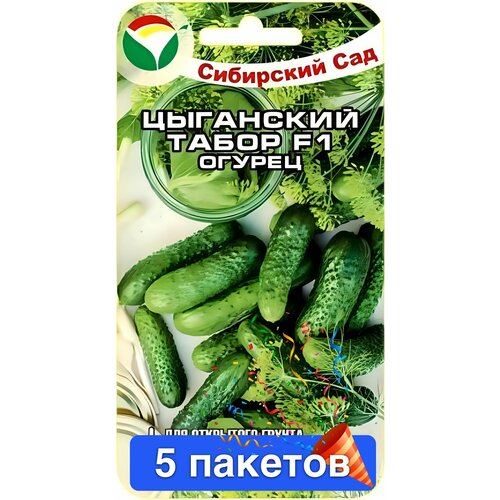 ������ ������ ������ ������ ��������� ��� 