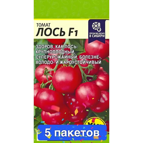 ������ ������ ������ ������ ������ ����� 