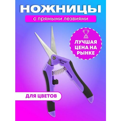 ������ ������ ������� ������� ��� ������ � ������� �������� ����