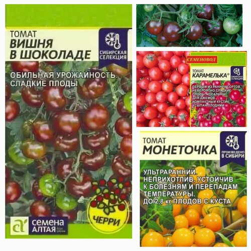 ������ ������ ����� ����� ������� 