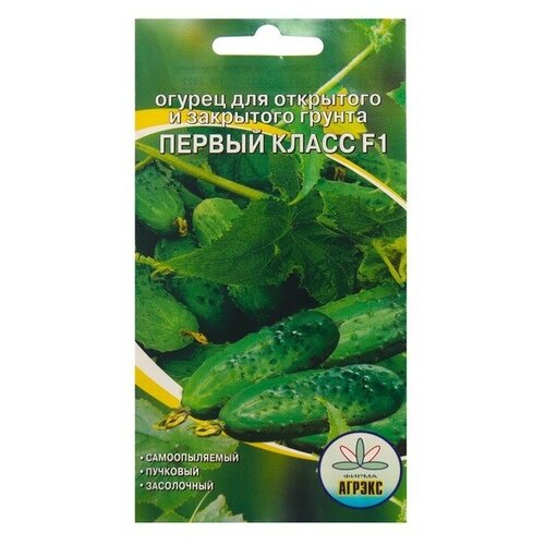 ������ ������ ������ F1 ������ ����� 10 �� ����� ����