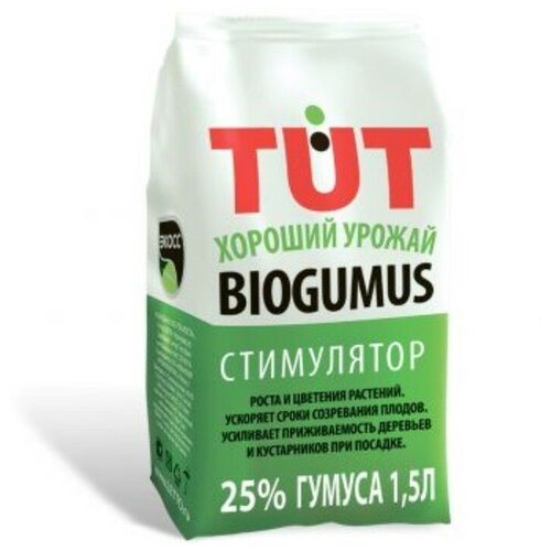 ������ ������ ��������� 