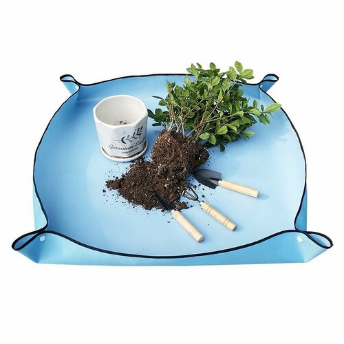 ������ ������ ����� ��� ������� ����