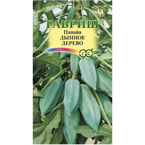 ������ ������ ������ ������ ������, ������ ������ 3�� ����