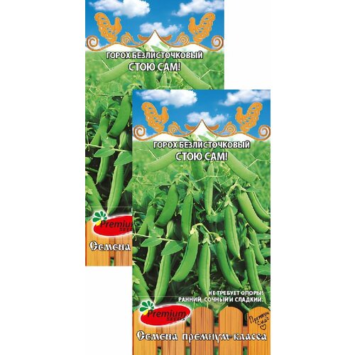 ������ ������ ����� �������������� ���� ��� (7 �), 2 ������ ����